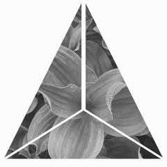 XIV