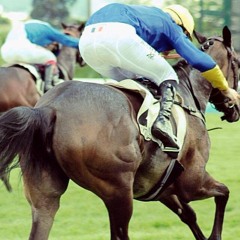 Djeudes-alie de la touffe