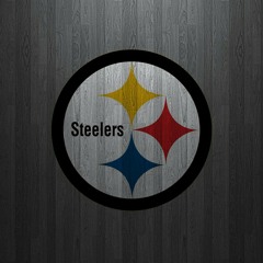 Steelersfan_500