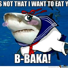 Kawaii Shark!!!!