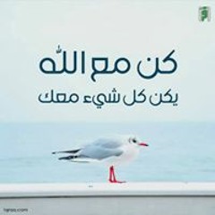 Omar Alfarouk