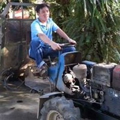 Mỵ Linh