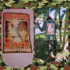 EveryThing Big Brain