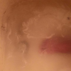 celluloid the hermit