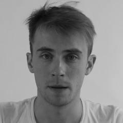 ANT PASAULIO KRASTO