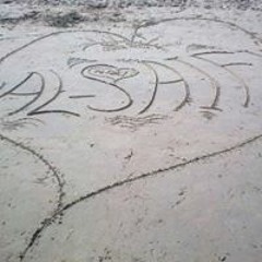 محمد السيفي