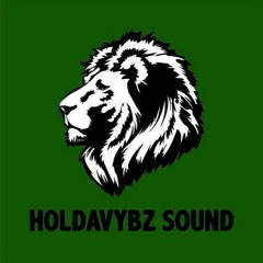 Holdavybz sound