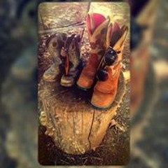 Amy Sunshine Fincher