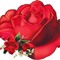 نور الشمس
