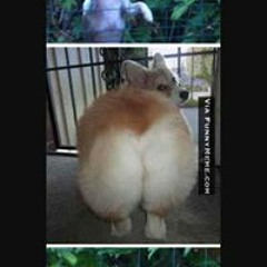 Arlinda Justus Jacobs