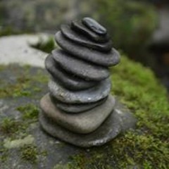 Cisco Shirley Goodrich