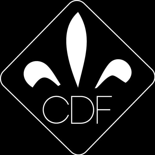 C D F 一隊’s avatar