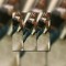 user30154177