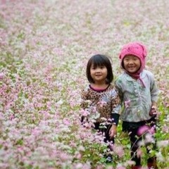 Vương Phùng Thư