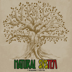 Natural System Reggae