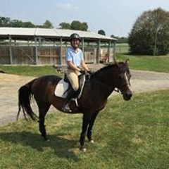 I'm Only Joking By Kongos