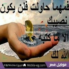 ابو انس المحترم