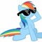 Rainbow Dash Lover