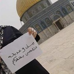 Adla M. Al Amassi