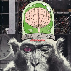 Free Minds Media Group