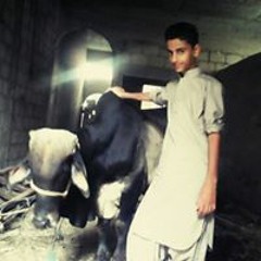 Umar Baloch