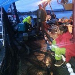 Ivy Tillion-rodriguez