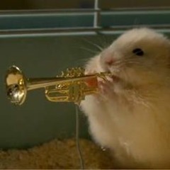 Brett Westfahl Music