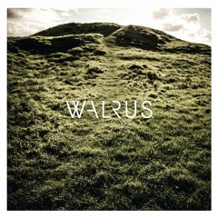 WalrusBE