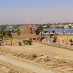 Ahmed Abdel Rady