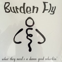 Burden Fly