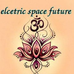 Elcetric space future
