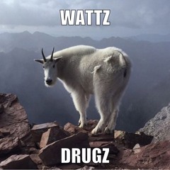 Wattz Drugz