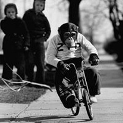 Samuel Alfonso Loosli