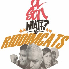 OlsonWhattt? & RiddimCats
