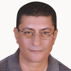 Adel Wefki
