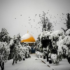 Abo AbdUllah