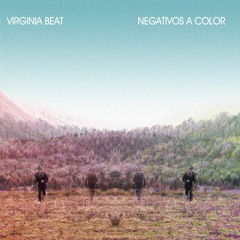 Virginia Beat