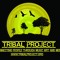 Tribal Project2015