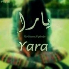 Yara Yasser