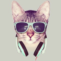 CoolCatBrosDJ