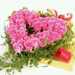 احمد الرياطي