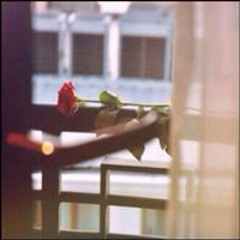 اميره الورد