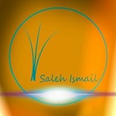 Saleh Is