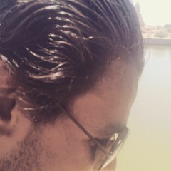 Alaa Adel
