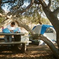 Gavin Chandler Spencer