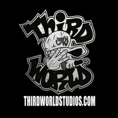 THIRD WORLD STUDIOS INC