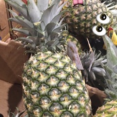 😎👻👽🐝🍍🌳⚠️