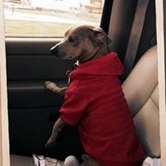 Candice Starr Swilling