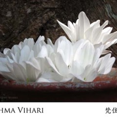 Brahma Vihari