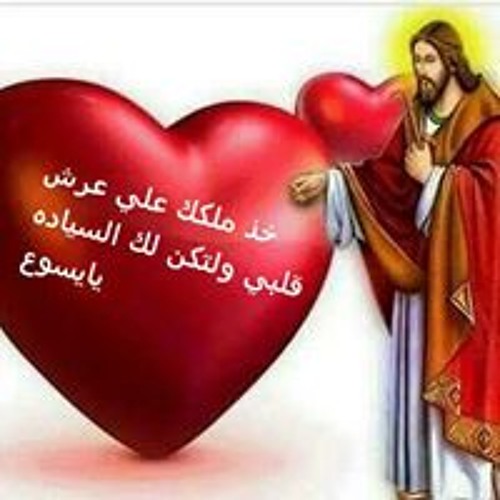 Fayza Tawfeek’s avatar